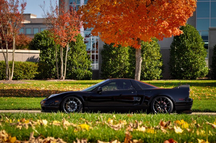 10664210704_d5264214ce_b