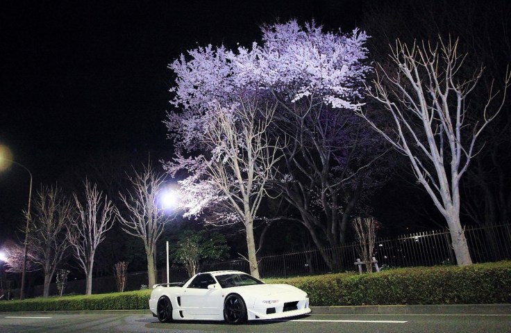 13601416003_050ec4fb51_b